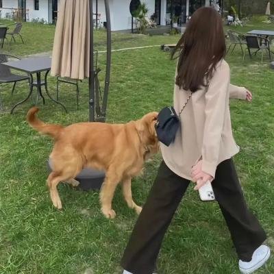 动物园生活