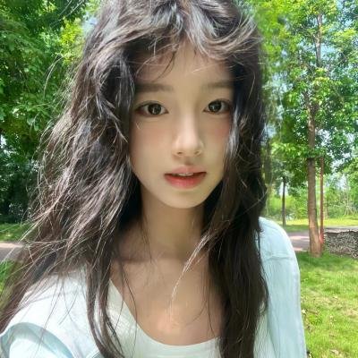 北方的金丝雀